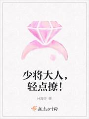 少将大人,轻点撩!