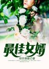 圣手闯都市