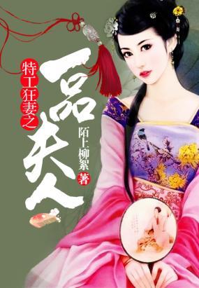 腹黑大人的特工宠妻